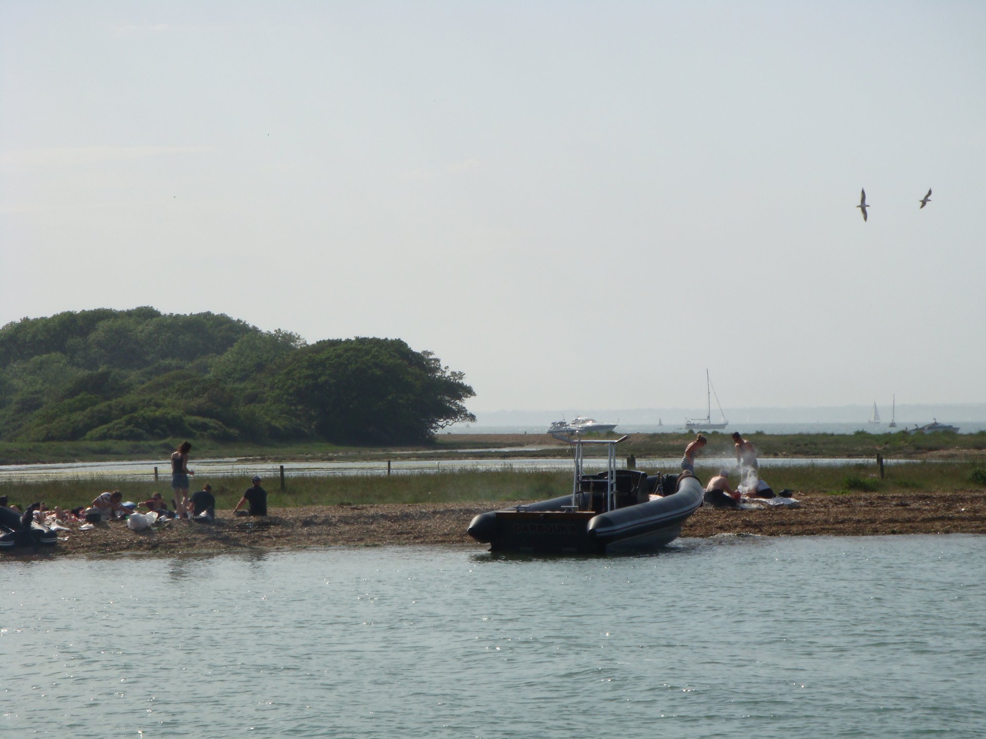 Newtown Creek