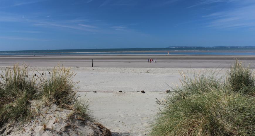 Chichester Harbour