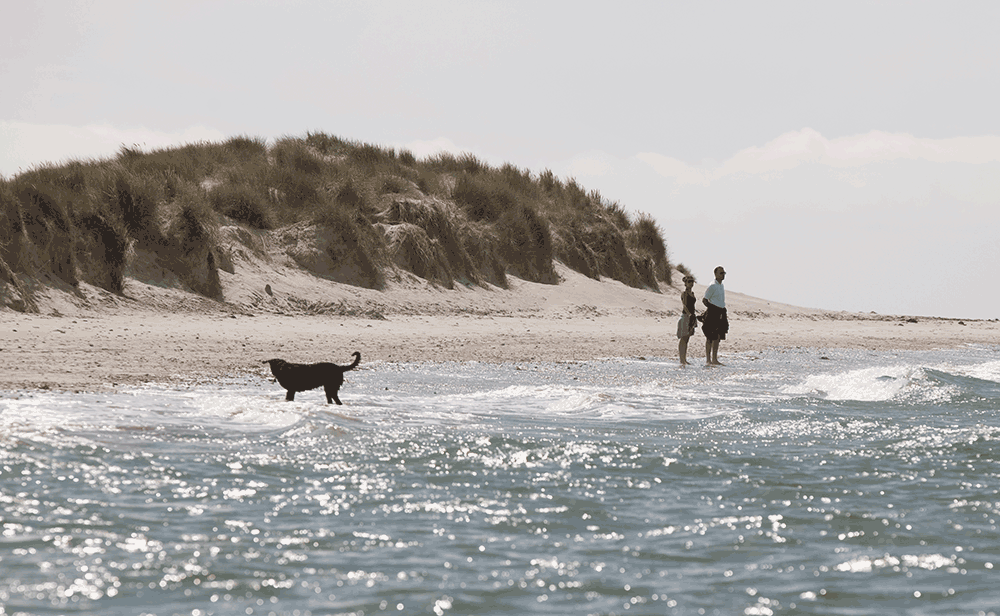 Chichester Harbour